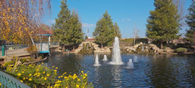 塞尔玛斯旺考特假日酒店(Holiday Inn Selma-Swancourt)图片