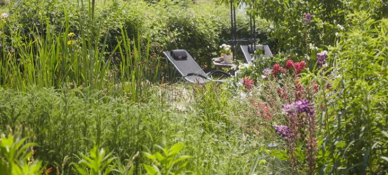 生活方式和烹饪学校招待所(Lebensart Pension & Kochschule)图片