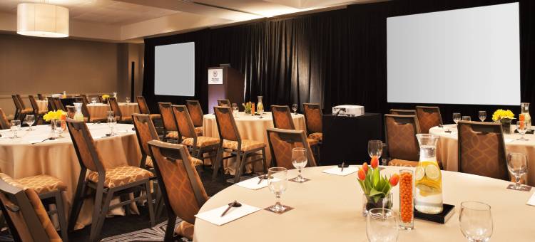 芝加哥奥黑尔喜来登套房酒店(Sheraton Suites Chicago O'Hare)图片