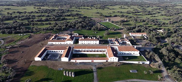 圣洛伦索巴洛卡酒店(São Lourenço do Barrocal)图片