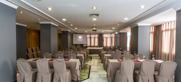 格拉纳达马丁纳塞尔科蒂尔 HMO 酒店(Sercotel HMO Martina Granada)图片