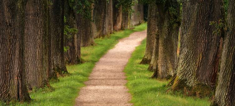 百合庄园原生酒店(Le Manoir du Lys, the Originals Relais)图片