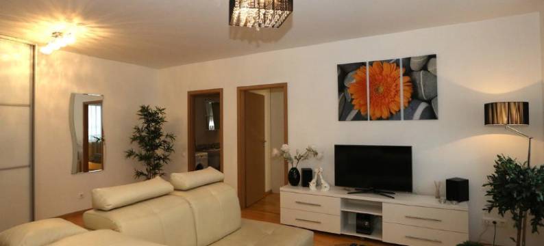 帕内韦日斯公寓(Apartments Panevezys)图片