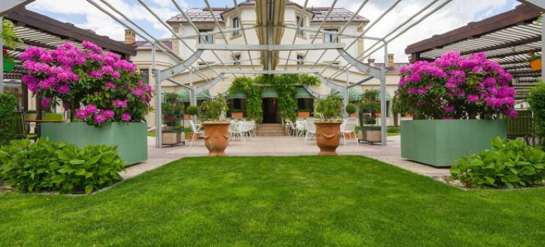 索棱霍夫酒店(Hotel Sonnenhof)图片