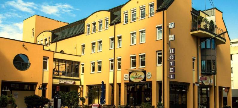 STADT-Hotel Lörrach - STADT-洛拉赫酒店(Stadt-Hotel Lörrach Gbr)图片