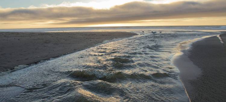 海鸥旅馆(Shearwater Inn)图片