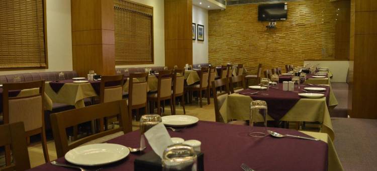 Treebo Rathi Residency图片