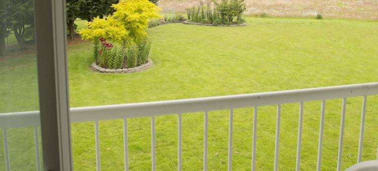 露珠旅馆(Dew Drop Inn)图片