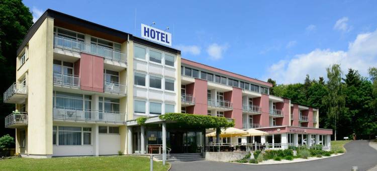 豪斯奥伯温特瑞酒店(Ringhotel Haus Oberwinter)图片