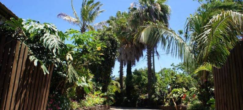 诺亚亚里基青年旅舍(Hostal Noa-Ariki)图片