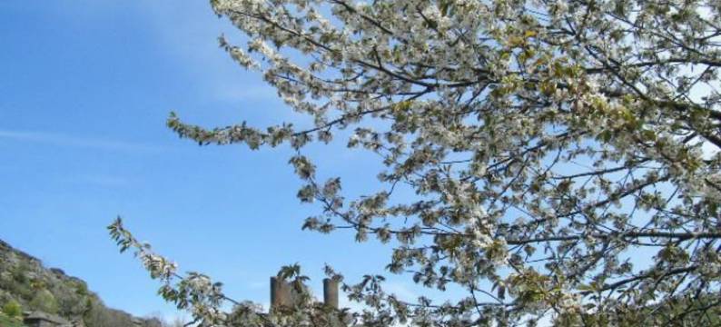 阿特利尔旅馆(L'Atelier S)图片