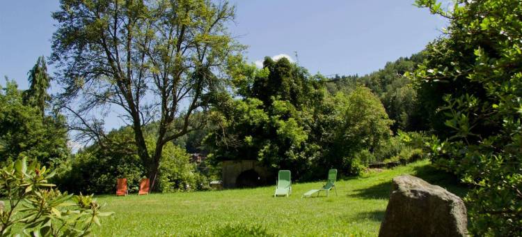 哈尼大磨坊酒店(Hotel Garni Grundmühle)图片