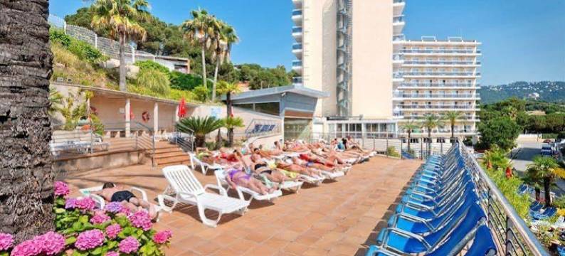 绿洲公园飞溅酒店(Hotel Oasis Park Splash)图片