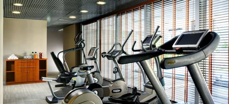 乌纳酒店米兰 1 号法义公寓式酒店(UNA Hotels The One Milano Hotel & Residence)图片