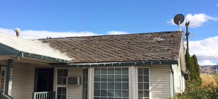 罗德朗纳汽车旅馆(Road Runner Motel)图片