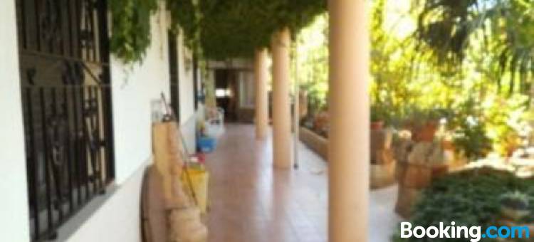 Hostal Los Rosales图片