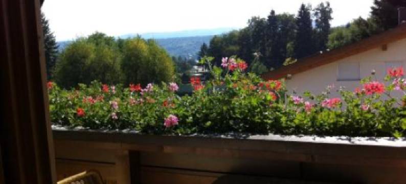 福尔茨图博旅馆(Gasthof Forststube)图片