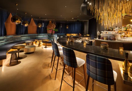 W Bellevue Hotel Overview