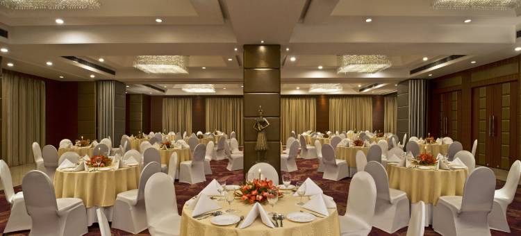 齐普尔市中心丽筠酒店(Radisson Jaipur City Center)图片