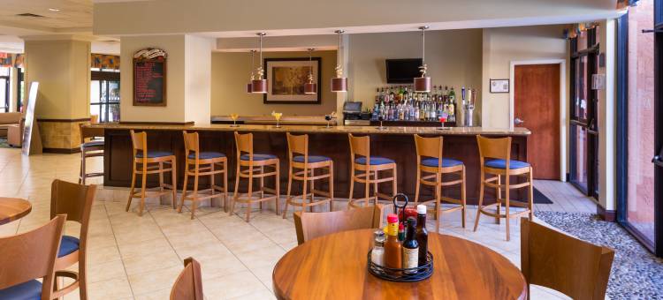 Holiday Inn & Suites 主门东(Holiday Inn & Suites Orlando SW - Celebration Area)图片