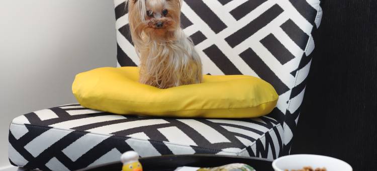 特拉维夫NYX酒店(NYX Tel Aviv)图片