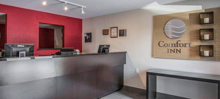 舒适酒店(Comfort Inn)图片