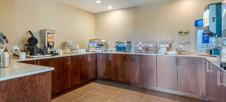 舒适套房酒店(Comfort Inn & Suites)图片