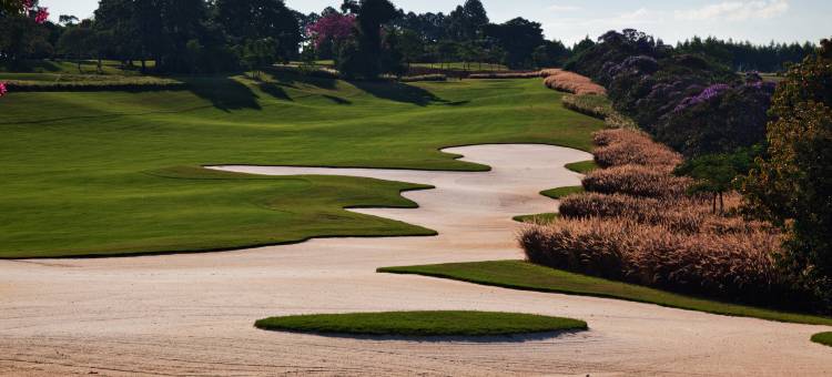 博阿维斯塔法萨诺酒店(Hotel Fasano Boa Vista)图片