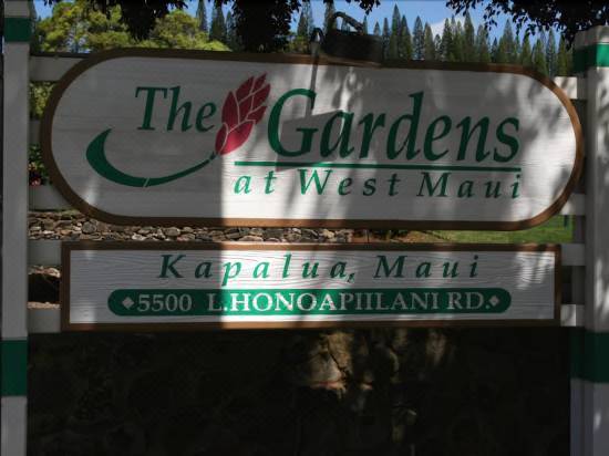 Gardens At West Maui Hotel Reviews And Room Rates