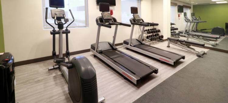 蒙特雷阿波达卡佐纳机场假日套房酒店(Holiday Inn & Suites Monterrey Apodaca Zona Airport)图片