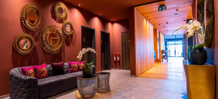 梅塞设计酒店(Meiser Design Hotel)图片