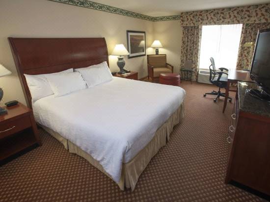 Hilton Garden Inn Elko Hotel Reviews And Room Rates Trip Com