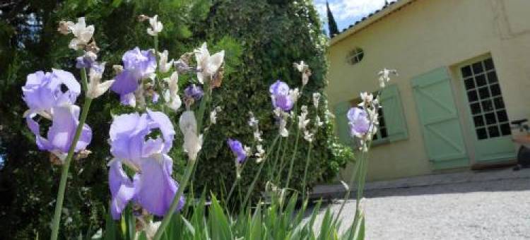 Le Mas des Oliviers图片