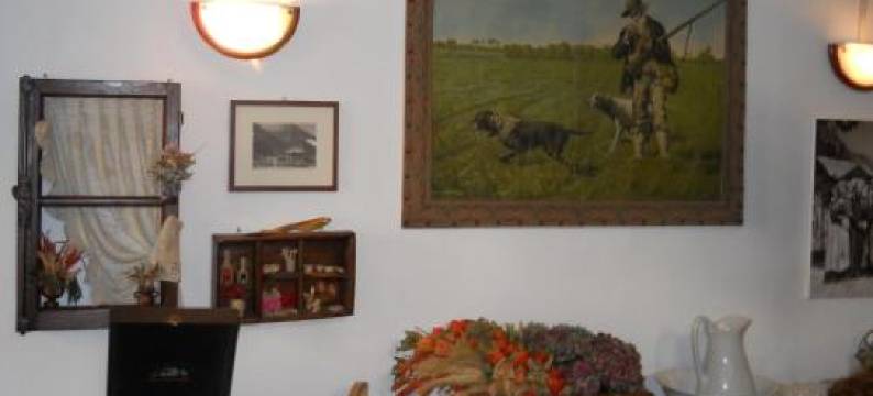 Albergo Mologna图片