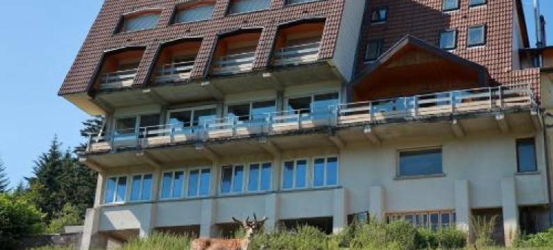 德拉格兰德瀑布酒店(Hostel de La Grande Cascade)图片