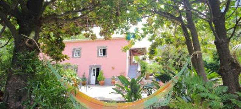 北海岸旅馆(Madeira Surf Lodge)图片