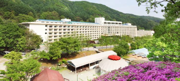 京畿道杨平郡韩华度假村(Hanwha Resorts Yangpyeong)图片