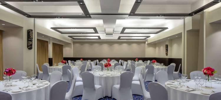 斐济丹娜努岛丽笙蓝标度假村(Radisson Blu Resort Fiji Denarau Island)图片