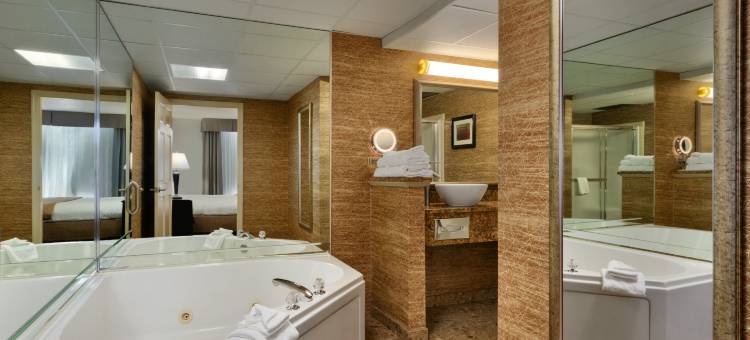 舒适酒店及套房格伦米尔斯 - 西切斯特(Comfort Inn & Suites Glen Mills - West Chester)图片