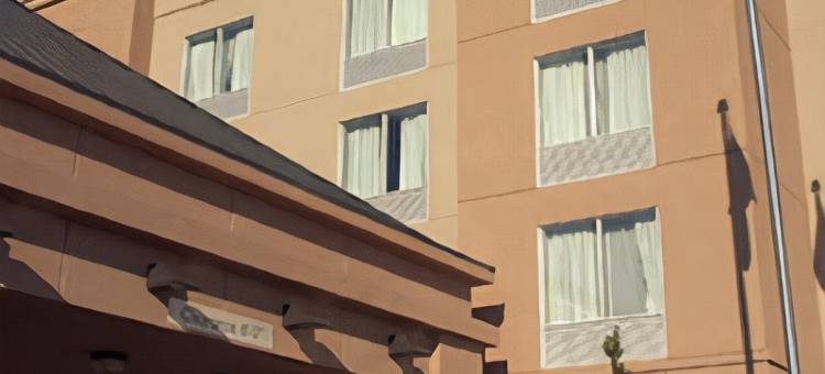 宾顿多伦多万枫酒店(Fairfield Inn & Suites Toronto Brampton)图片