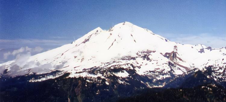 Travelodge by Wyndham Abbotsford Bakerview图片