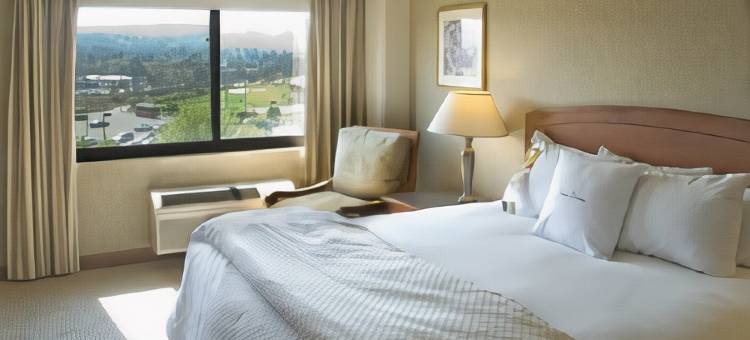 旧金山机场希尔顿逸林酒店(DoubleTree by Hilton San Francisco Airport)图片