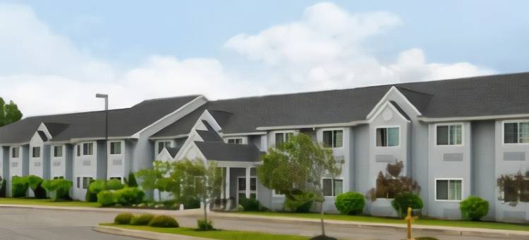 斯普林维尔麦客达套房酒店(Microtel Inn & Suites by Wyndham Springville)图片