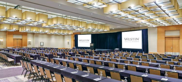 底特律都会机场威斯汀酒店(The Westin Detroit Metropolitan Airport)图片