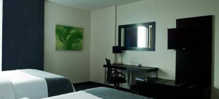 托卢卡加莱里亚斯梅特佩克智选假日酒店(Holiday Inn Express Toluca Galerias Metepec)图片