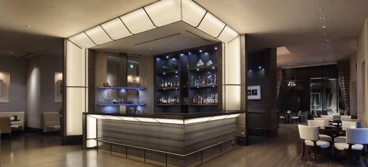 东京近湾Trusty酒店(Hotel Trusty Tokyo Bayside)图片