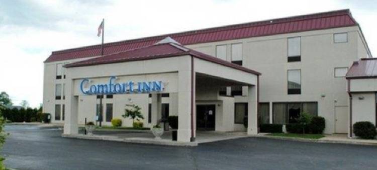 金斯兰凯艺酒店(Quality Inn Kingsland)图片