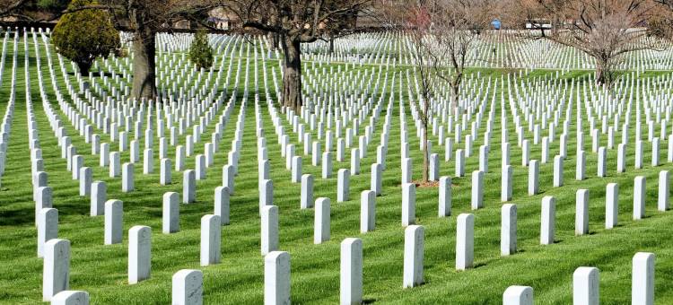 马纳萨斯贝斯特韦斯特酒店(Best Western Manassas)图片