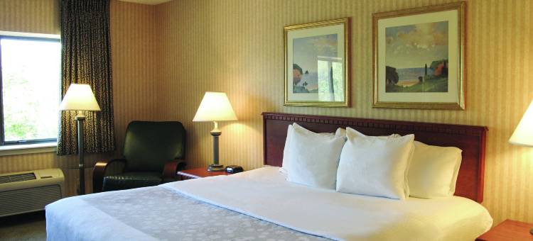 芝加哥-马特森舒适酒店(Spark by Hilton Matteson Chicago I 57)图片