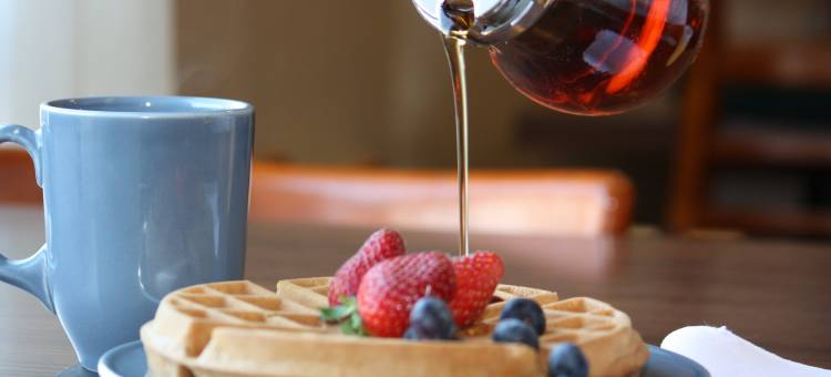 舒适酒店(Comfort Inn)图片